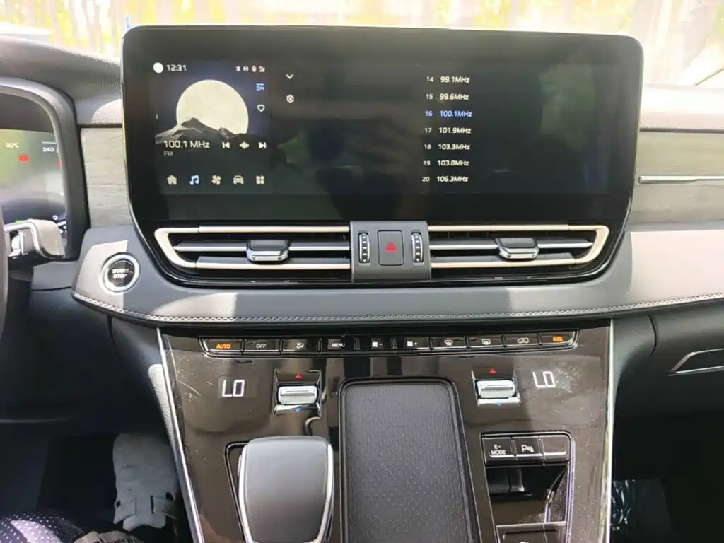 Hongqi HQ9 PHEV 2024 2.0T