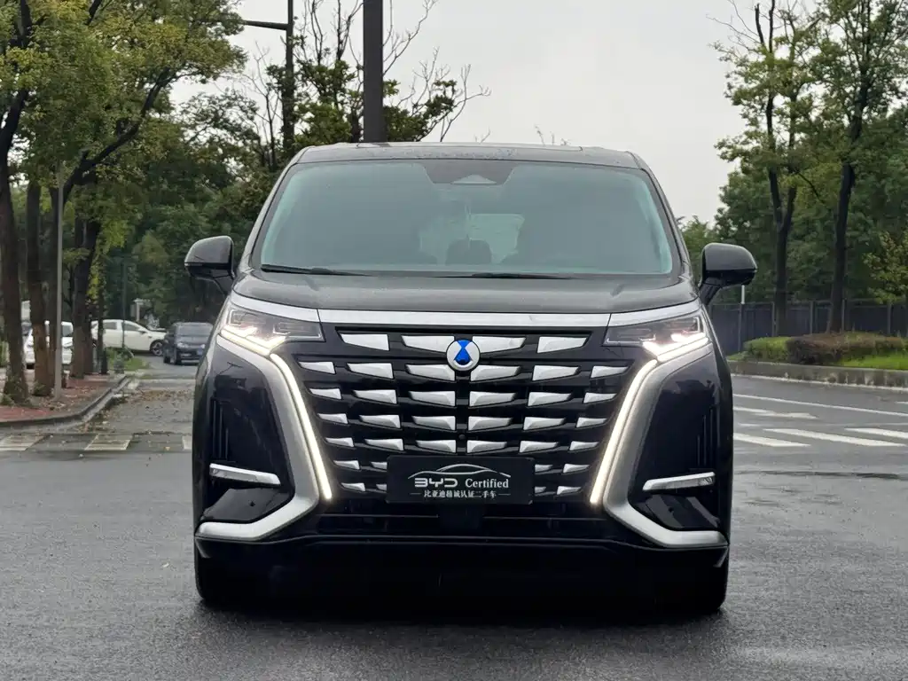 Denza Denza D9 — миниатюра 2