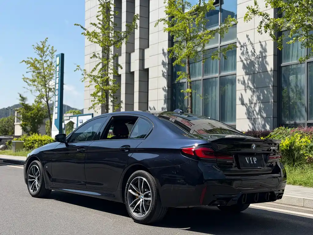 BMW 5 Series — миниатюра 11