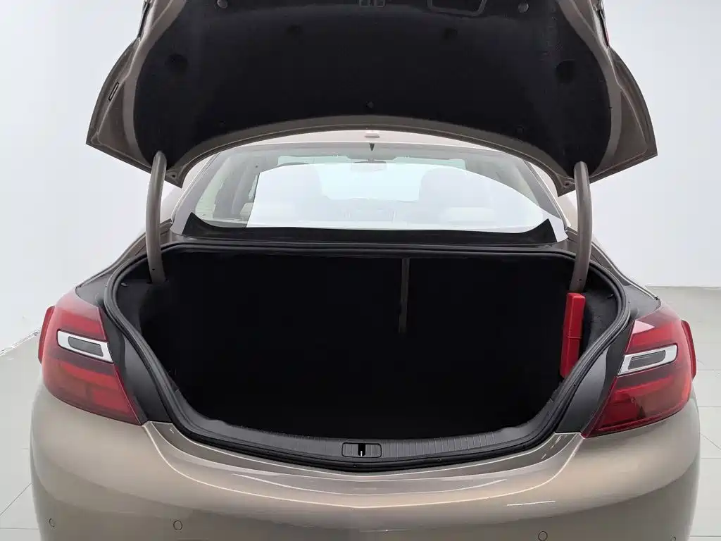 Buick Regal — миниатюра 16