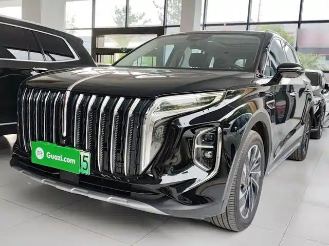 2024 Hongqi HS7