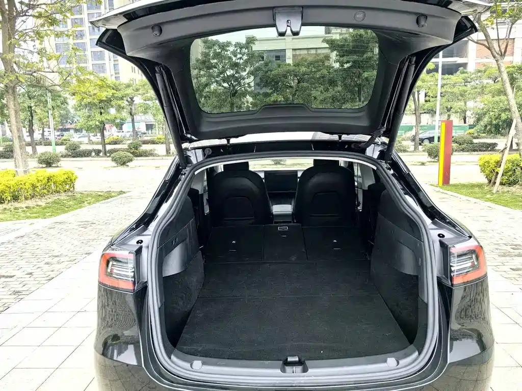 Tesla Model Y — миниатюра 5