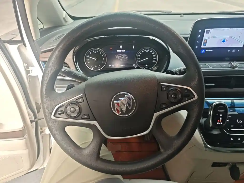 Buick GL8 — миниатюра 11