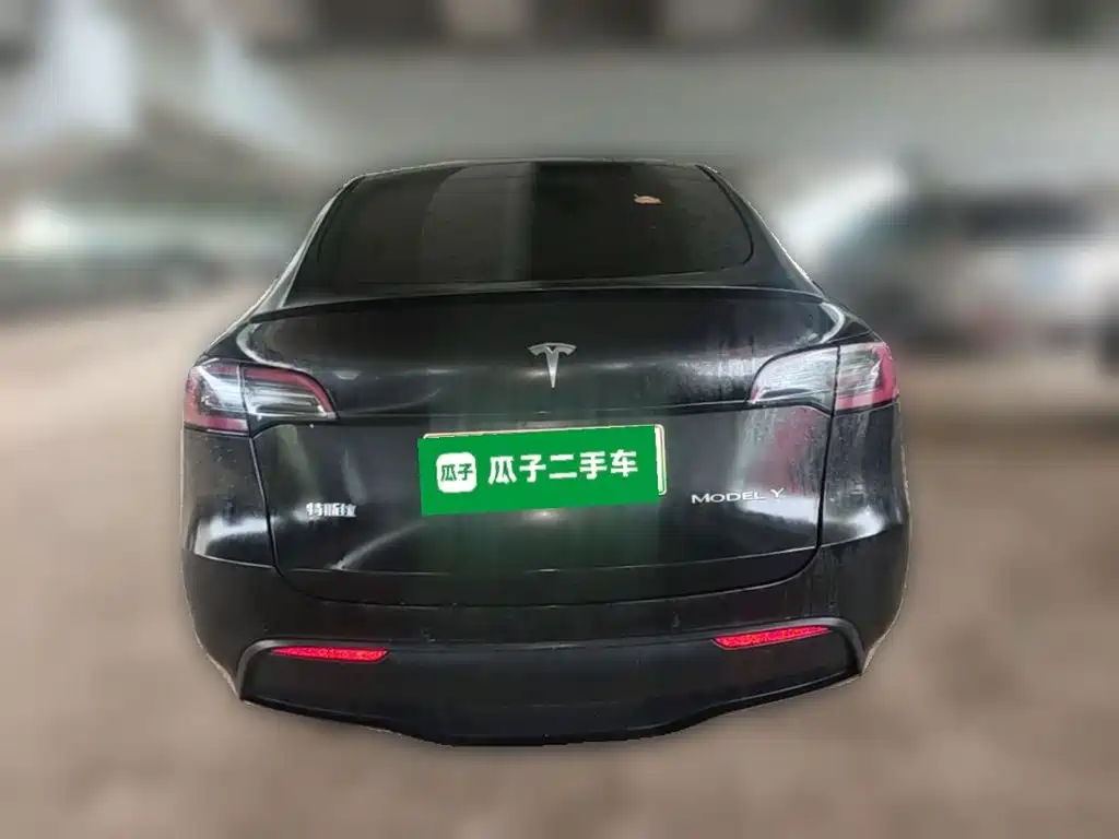 Tesla Model Y — миниатюра 8