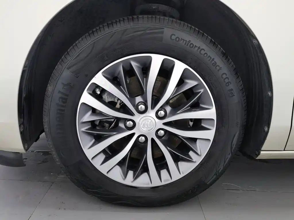 Buick GL8 — миниатюра 17