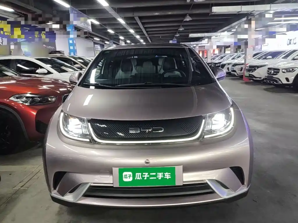 BYD Dolphin — миниатюра 3