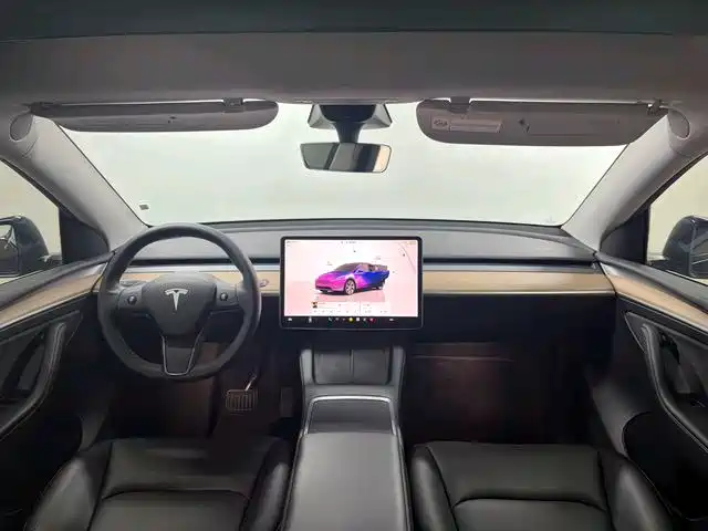 Tesla Model Y — миниатюра 8