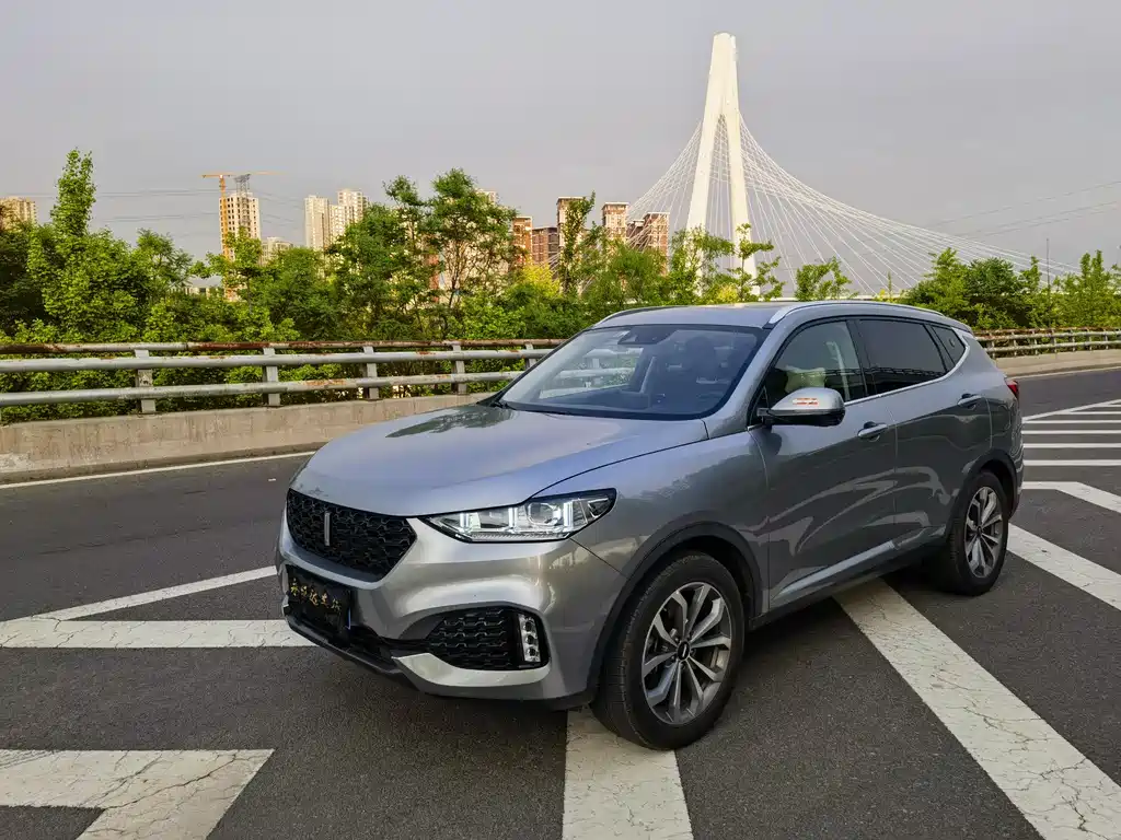 Wey Wey VV6 2019
