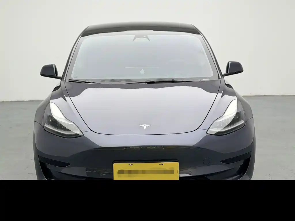 Tesla Model 3 — миниатюра 2