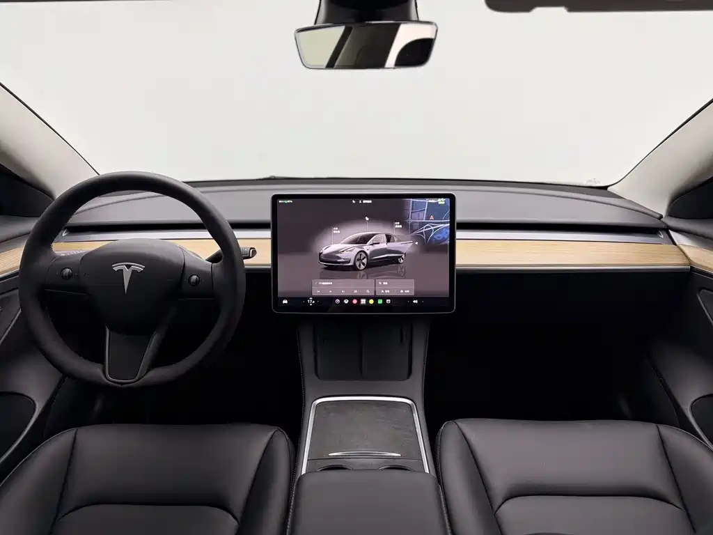 Tesla Model 3 — миниатюра 8