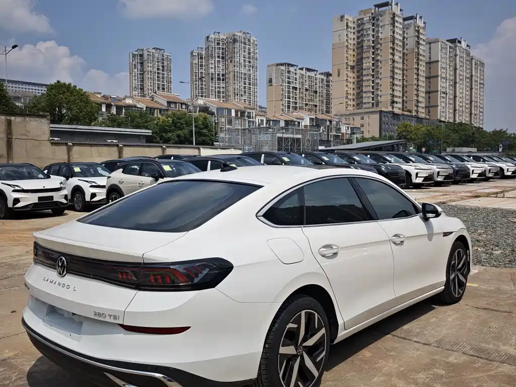 Volkswagen Lamando — миниатюра 9