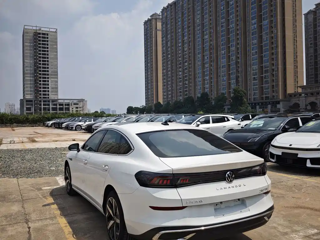 Volkswagen Lamando — миниатюра 11