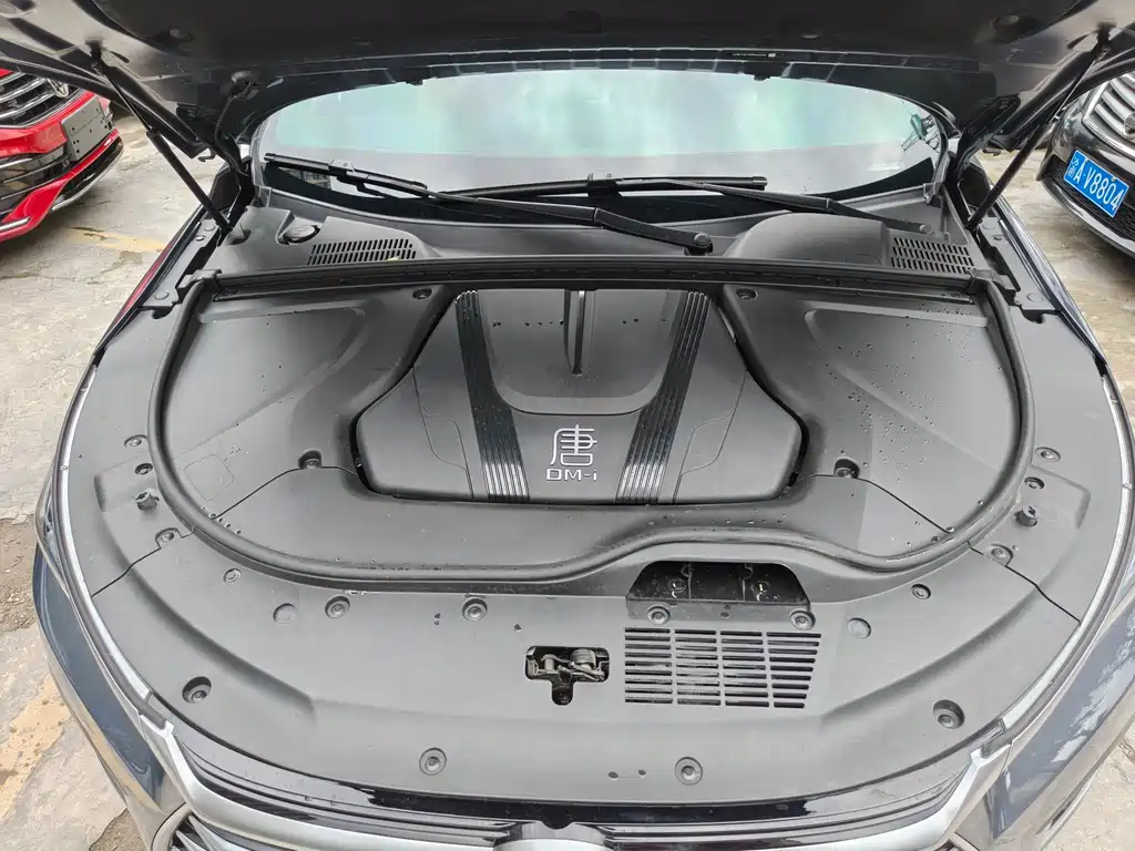 BYD TANGXIN ENERGY