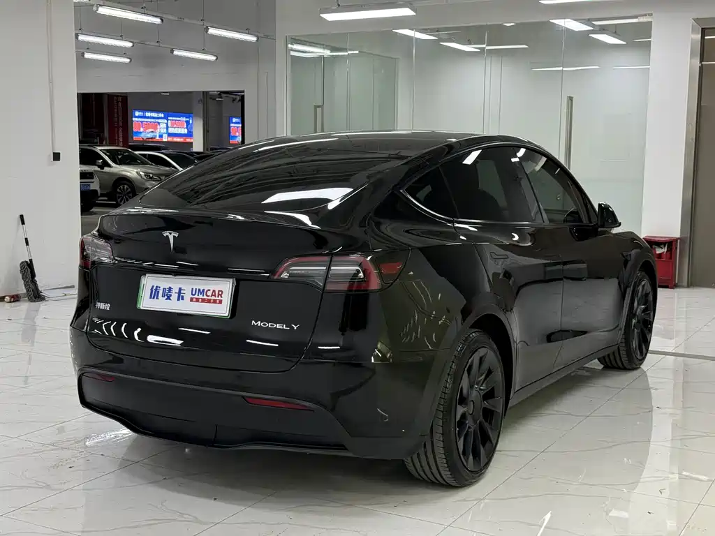 Tesla Model Y — миниатюра 6