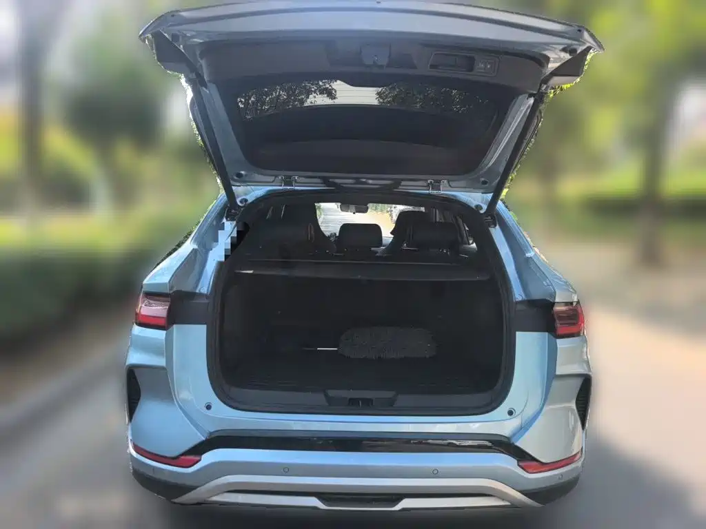 BYD PLUS New Energy — миниатюра 16