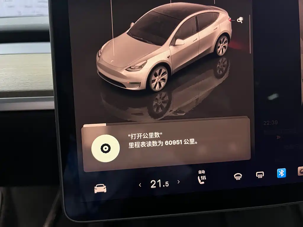 Tesla Model Y — миниатюра 15