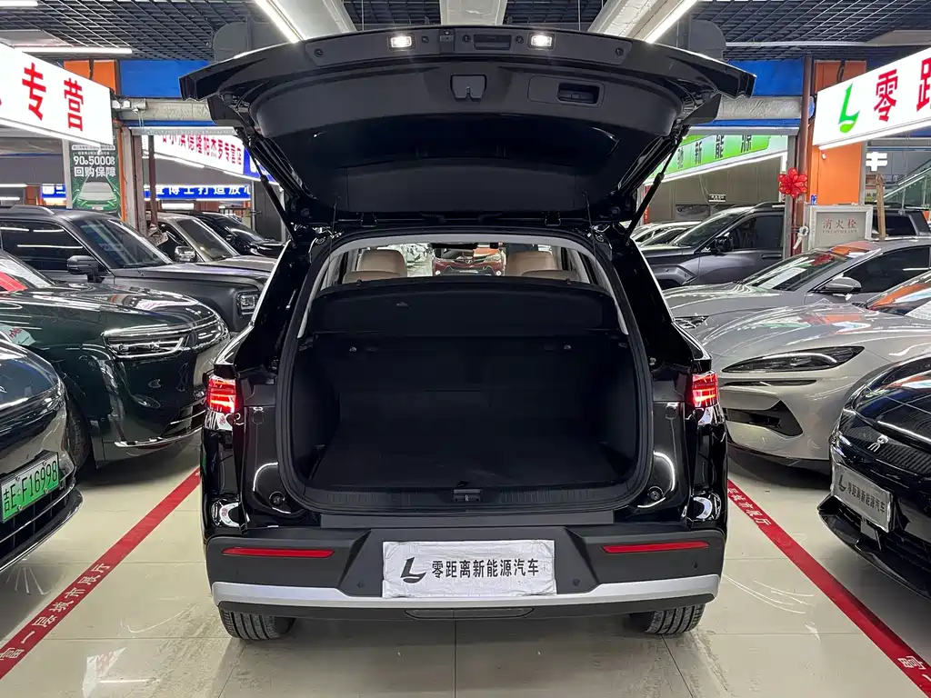 BYD Pro New Energy — миниатюра 15
