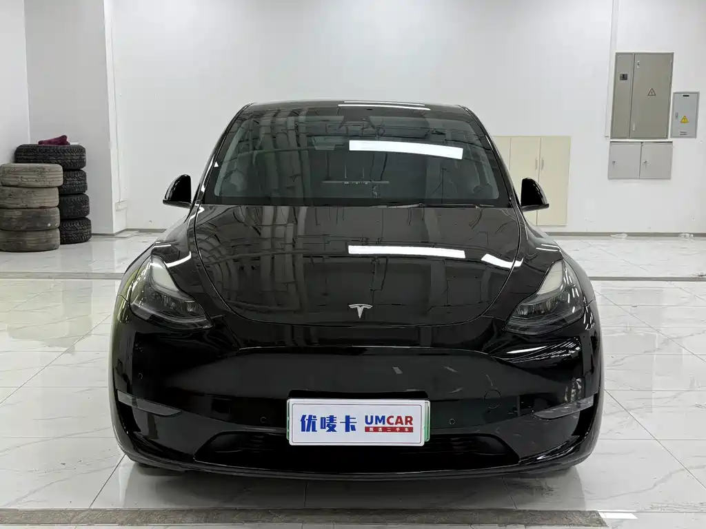 Tesla Model Y — миниатюра 2