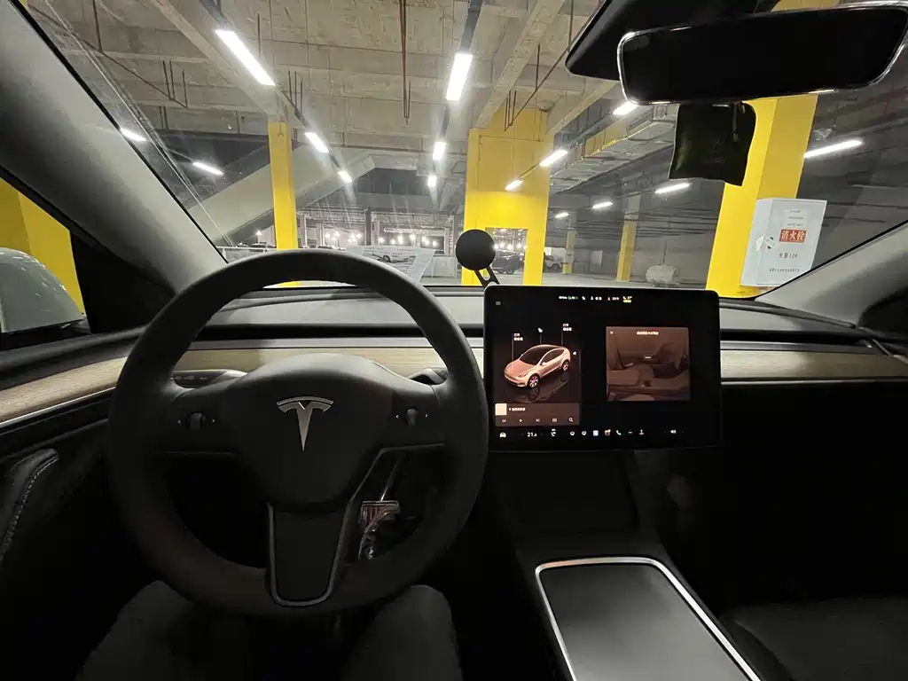 Tesla Model Y — миниатюра 14