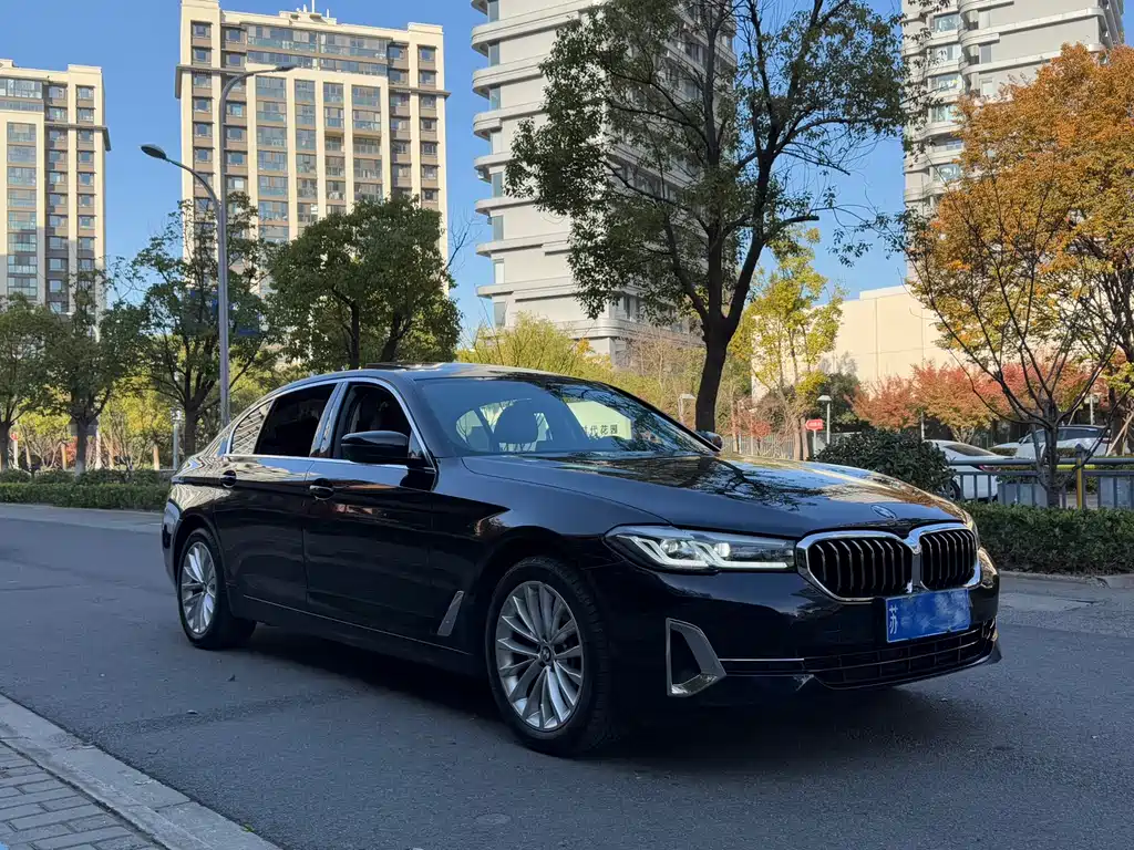 BMW 5 SERIES