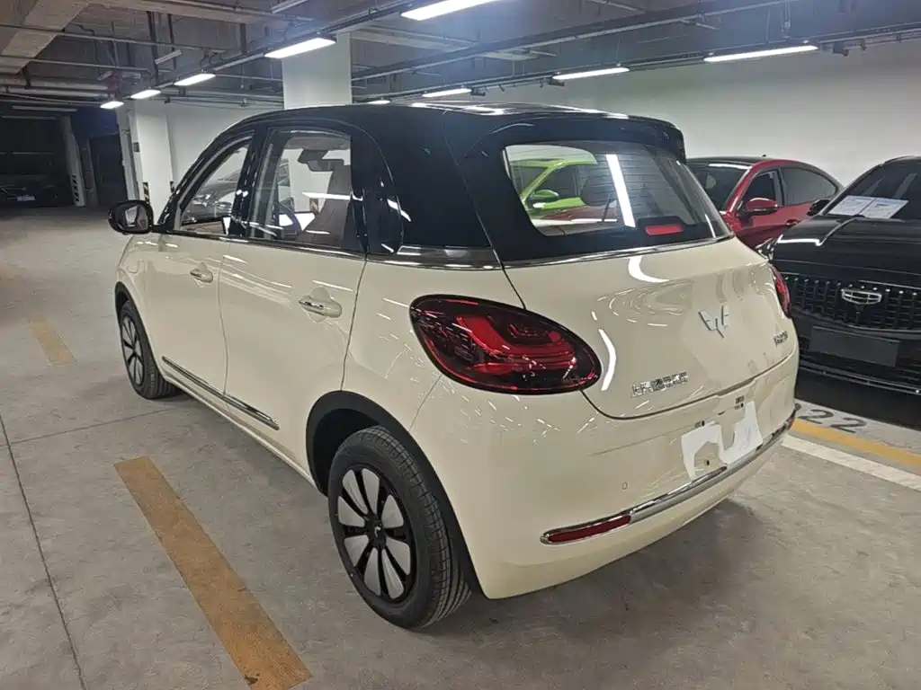 Wuling Binguo 2025 333km Premium