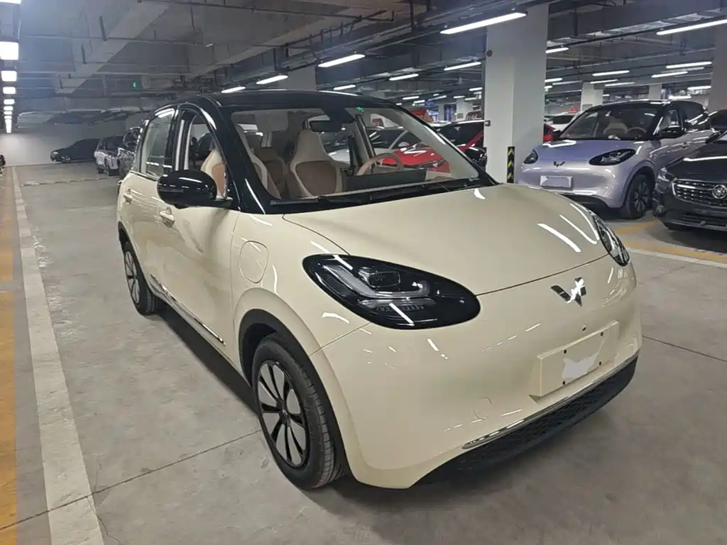 Wuling Binguo 2025 333km Premium