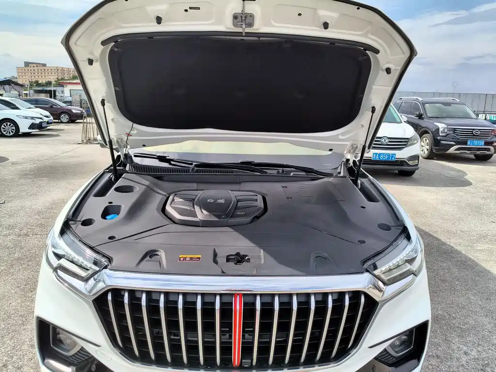 Hongqi HS5 2.0T Connected Flagship Enjoy Edition, фото 22
