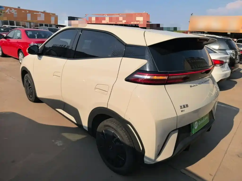BYD Seagull 2024 305km