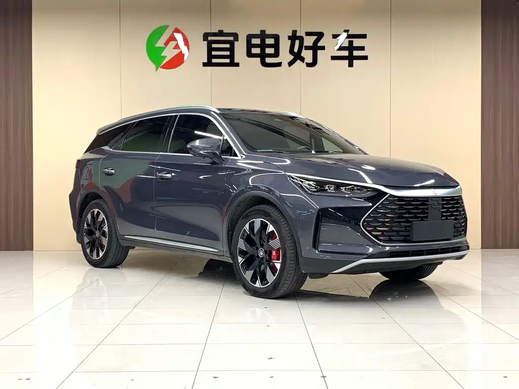 BYD Tang 2024 DM-p Champion 215KM Flagship