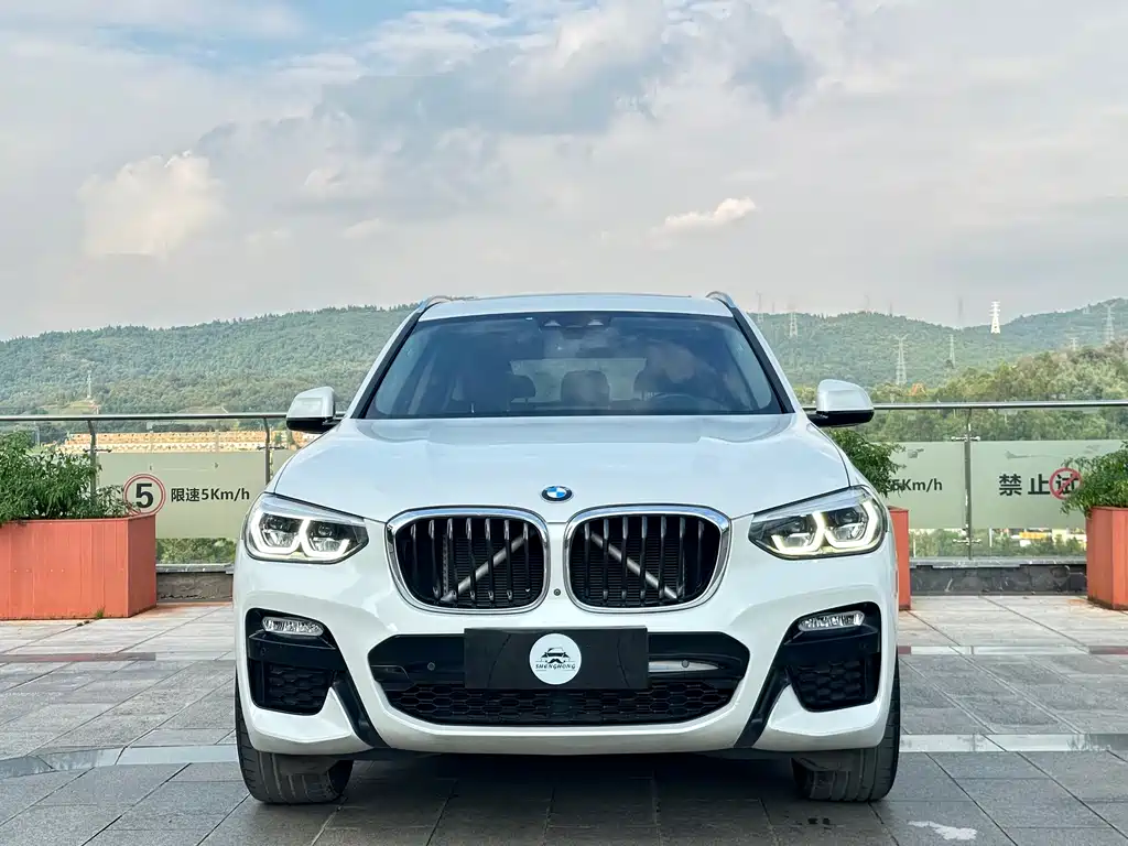 BMW X3 — миниатюра 2