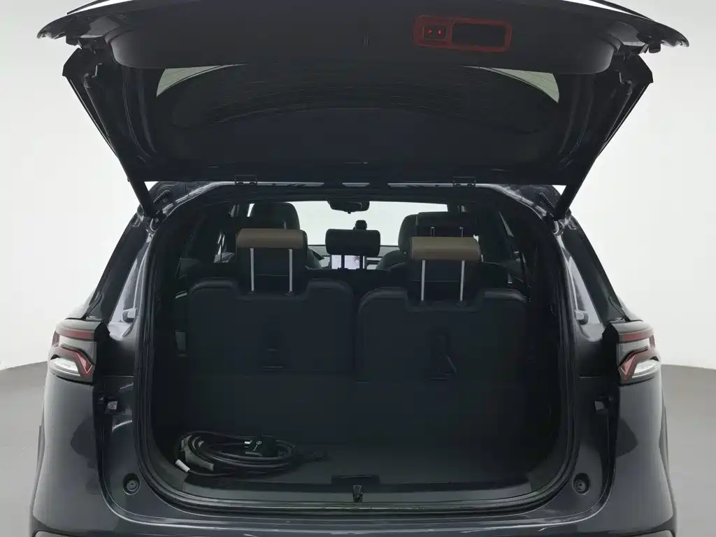 BYD Tang New Energy — миниатюра 16