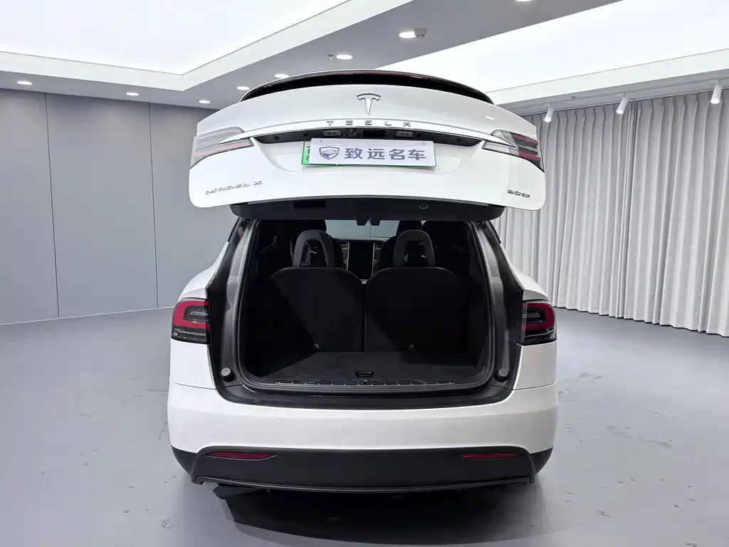 Tesla Model X — миниатюра 18