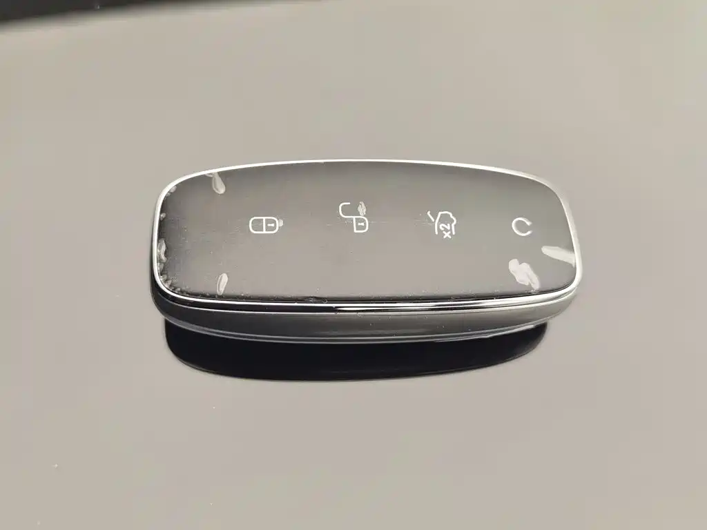Denza Denza D9 — миниатюра 19