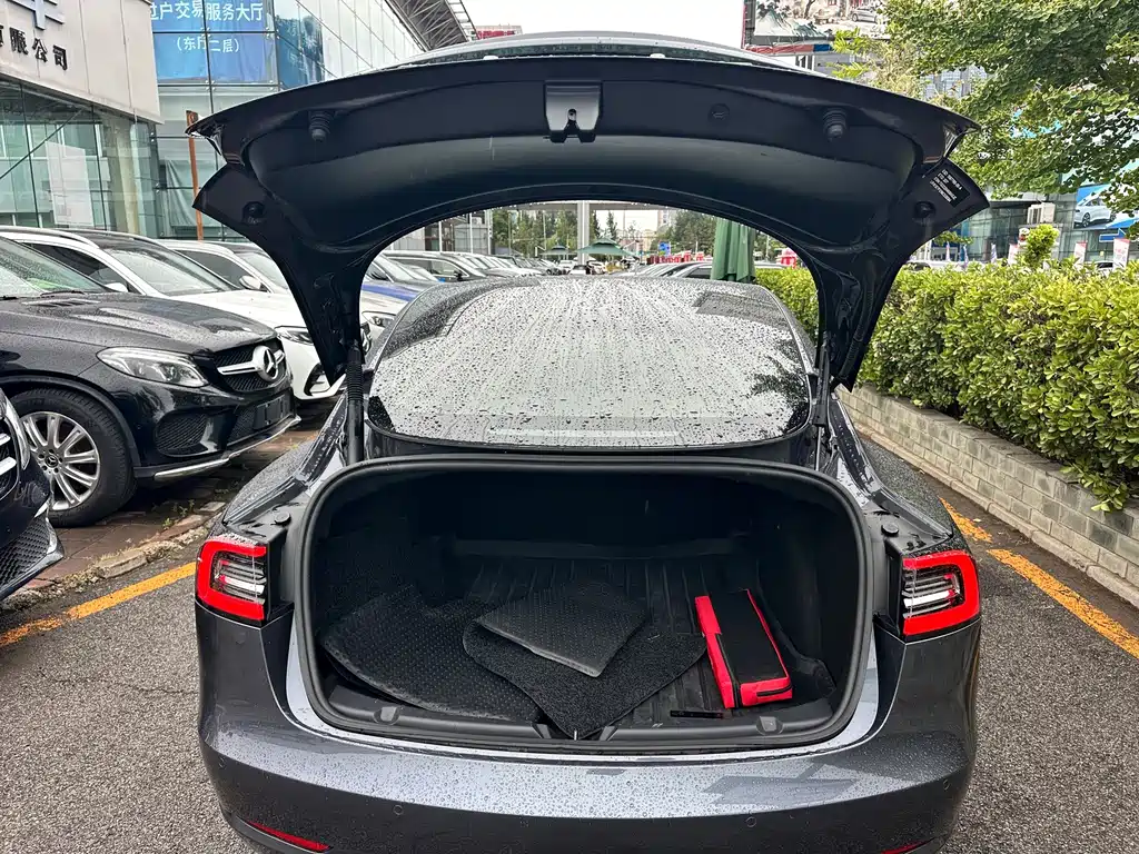 Tesla Model 3 — миниатюра 5