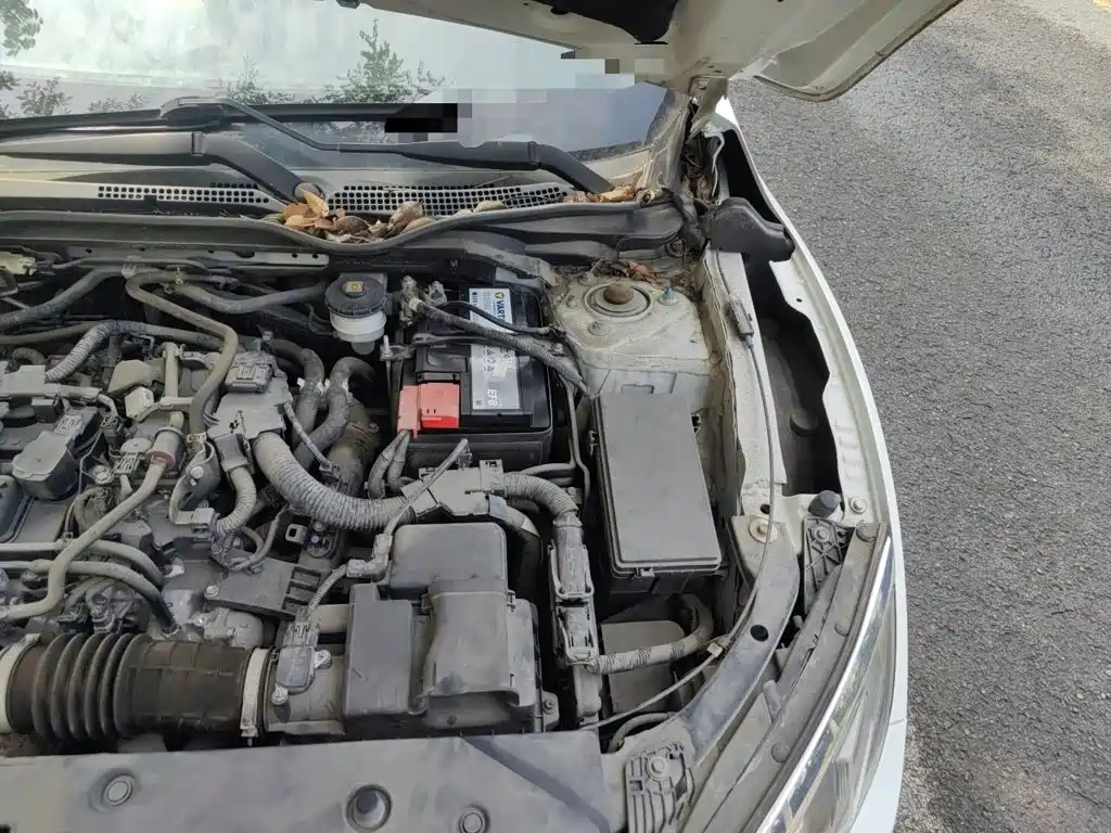 Honda Civic — миниатюра 22
