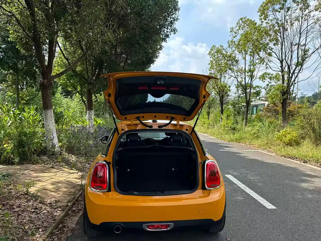 MINI Mini — миниатюра 25