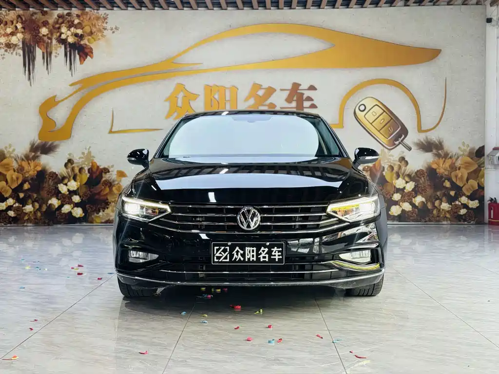 Volkswagen Magotan — миниатюра 2