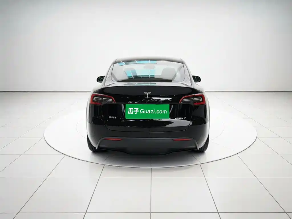 Tesla Model Y — миниатюра 5