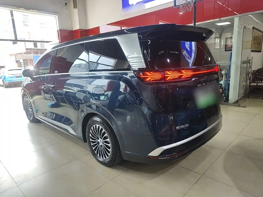 Denza Denza D9 — миниатюра 5