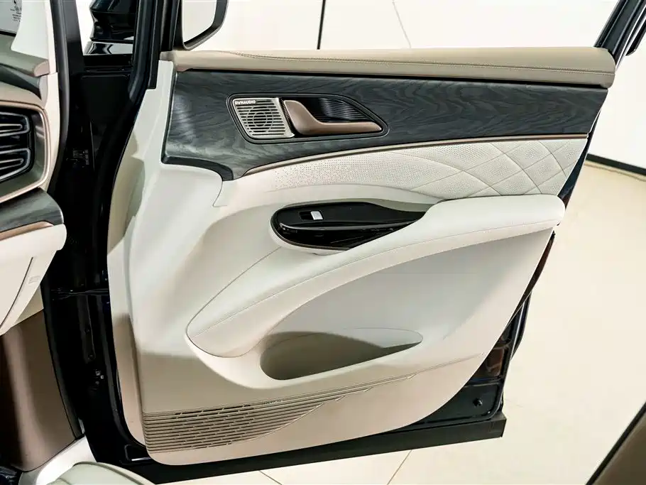 Denza Denza D9 — миниатюра 16