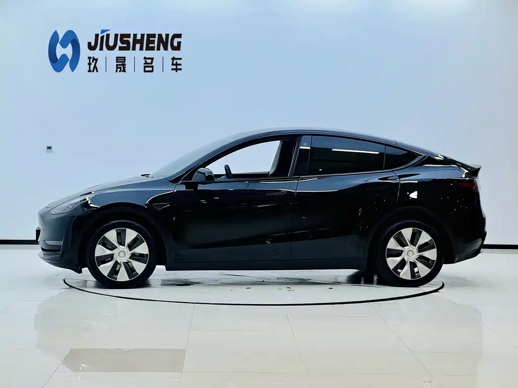 Tesla Model Y — миниатюра 3