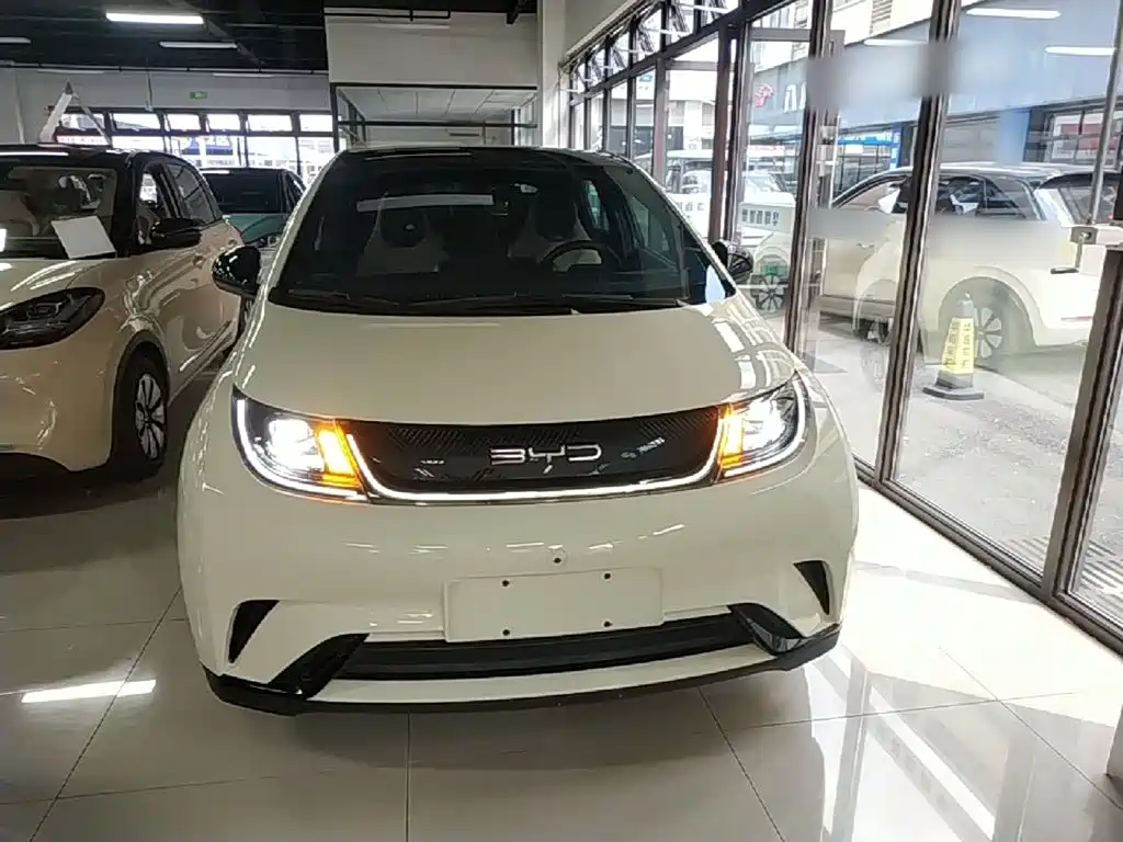 BYD Dolphin — миниатюра 3