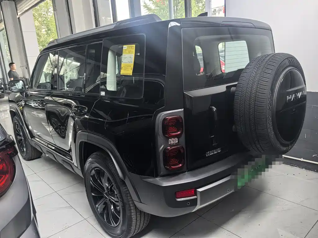 HAVAL RAPTORS NEW ENERGY