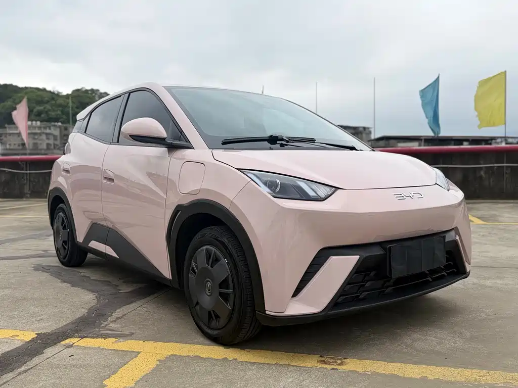 BYD Seagull 2024 305km
