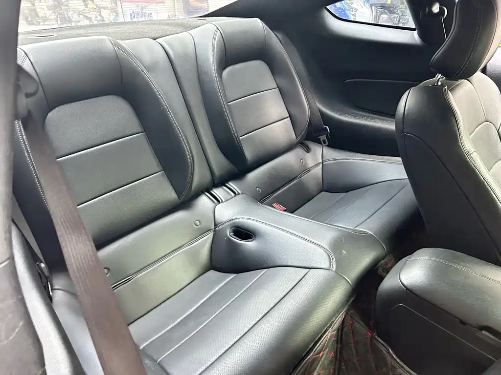 Ford Mustang — миниатюра 14