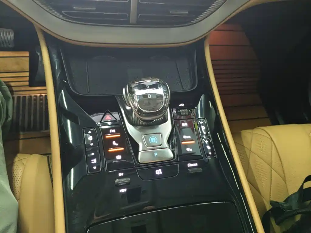 Denza Denza D9 — миниатюра 14