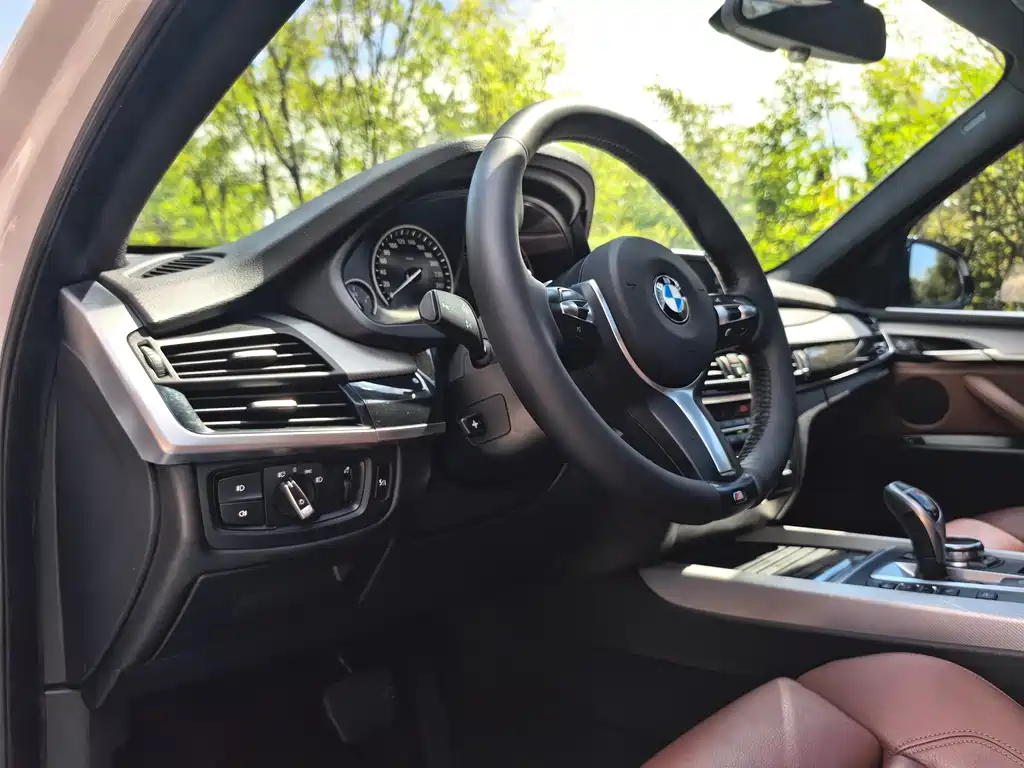 BMW X5 (Import) — миниатюра 17