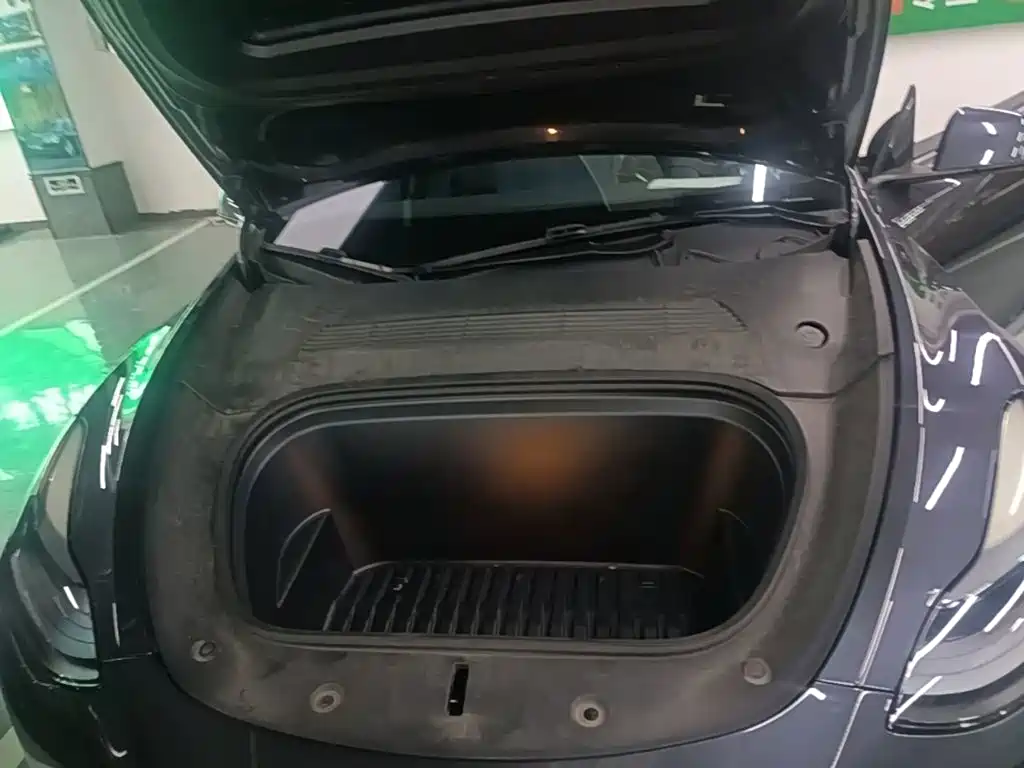 Tesla Model Y — миниатюра 20