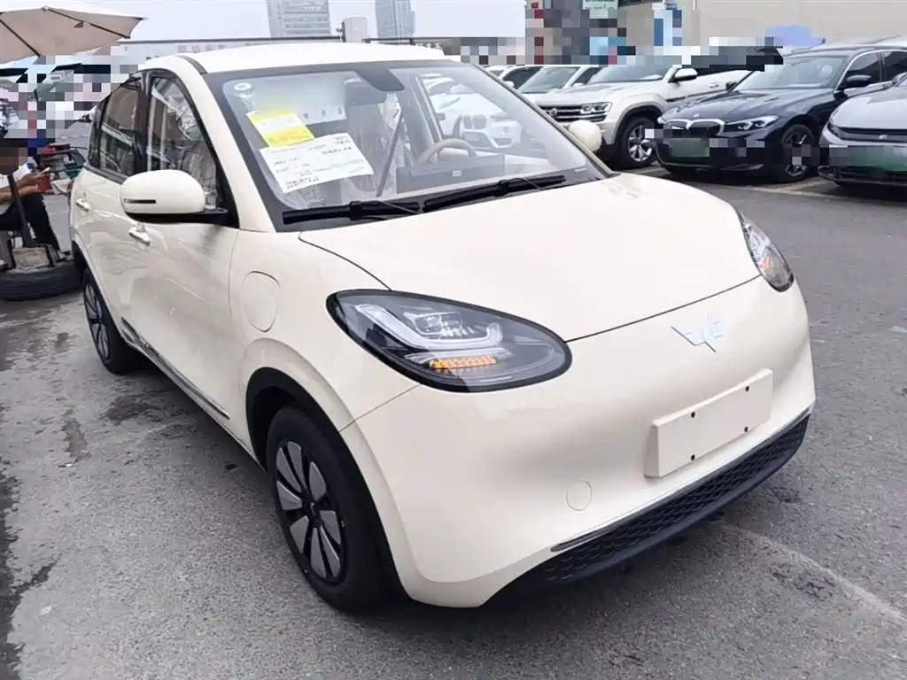 Wuling Binguo 2025 333km Enjoy
