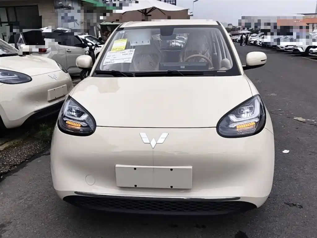 Wuling Binguo 2025 333km Enjoy